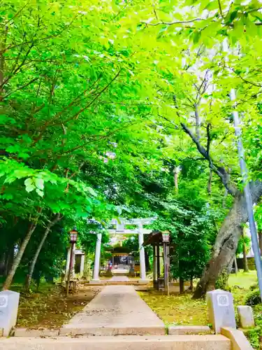 星宮神社の景色