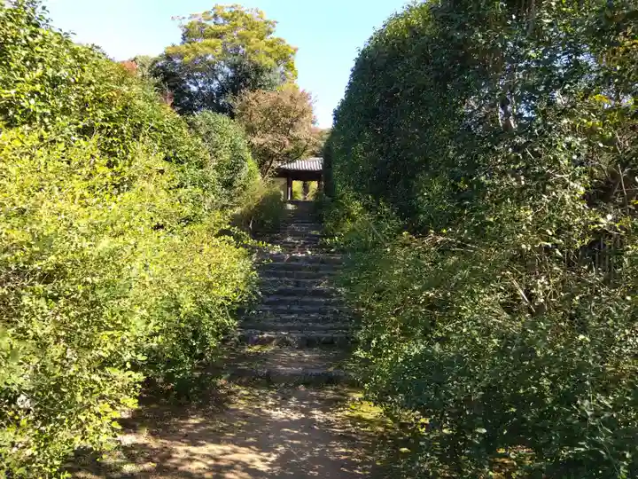 白毫寺(奈良県)