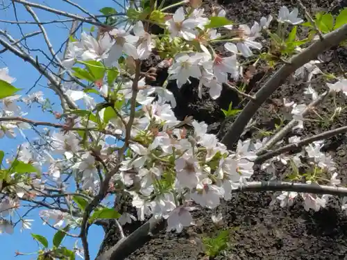 萬福寺(神奈川県)
