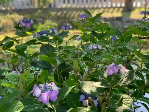 くろ谷 金戒光明寺の庭園