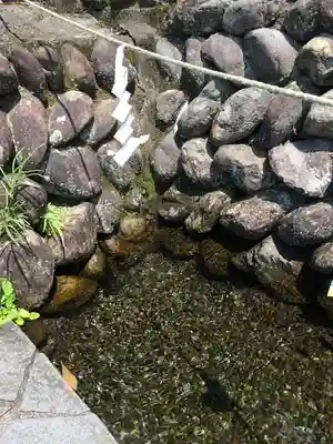 早水神社の手水舎