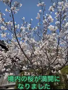 一乗院(和歌山県)(2026年04月04日(土) 19時23分54秒投稿)