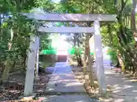 神明社(植神明社)の鳥居
