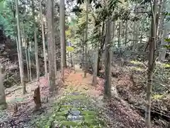 真弓八幡宮の自然