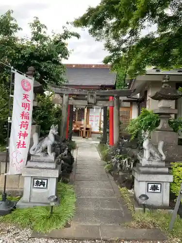 天明稲荷神社の狛犬