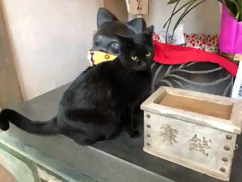 王子神社の動物