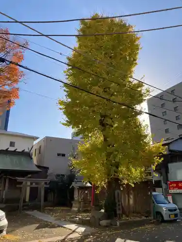 恵比寿神社(神奈川県)