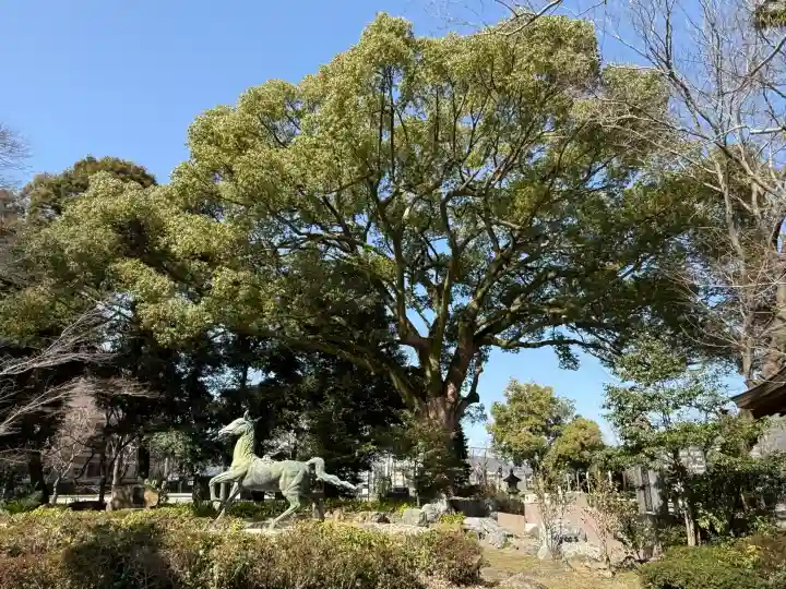 岐阜護國神社の{uncategorized: "未分類", other: "その他", undefined: "問題あり", building: "その他建物", grave: "お墓", sacred_gate: "鳥居", guardian: "狛犬", statue: "像", buddha: "仏像", history: "歴史", nature: "自然", garden: "庭園", animal: "動物", pagoda: "塔", temizu: "手水舎", mountain_gate: "山門・神門", sanctuary: "本殿・本堂", subordinate: "末社・摂社", art: "芸術", scenery: "景色", jizo: "地蔵", ema: "絵馬", goshuin: "御朱印", omikuji: "おみくじ", items: "授与品その他", amulet: "お守り", goshuincho: "御朱印帳", eats: "食事", festival: "お祭り", votive_dance: "神楽", shichigosan: "七五三参", wedding: "結婚式", experience: "体験その他", initially: "初詣", around: "周辺", anti_infection: "感染症対策"}