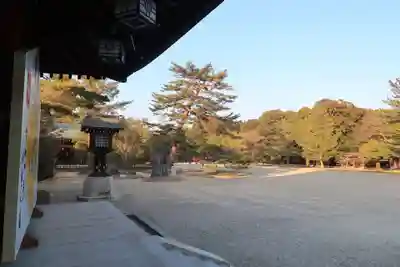 橿原神宮(奈良県)