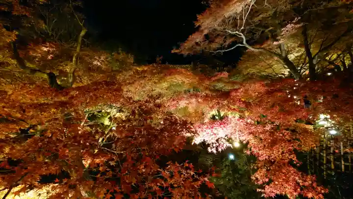 東福禅寺(東福寺)の{uncategorized: "未分類", other: "その他", undefined: "問題あり", building: "その他建物", grave: "お墓", sacred_gate: "鳥居", guardian: "狛犬", statue: "像", buddha: "仏像", history: "歴史", nature: "自然", garden: "庭園", animal: "動物", pagoda: "塔", temizu: "手水舎", mountain_gate: "山門・神門", sanctuary: "本殿・本堂", subordinate: "末社・摂社", art: "芸術", scenery: "景色", jizo: "地蔵", ema: "絵馬", goshuin: "御朱印", omikuji: "おみくじ", items: "授与品その他", amulet: "お守り", goshuincho: "御朱印帳", eats: "食事", festival: "お祭り", votive_dance: "神楽", shichigosan: "七五三参", wedding: "結婚式", experience: "体験その他", initially: "初詣", around: "周辺", anti_infection: "感染症対策"}
