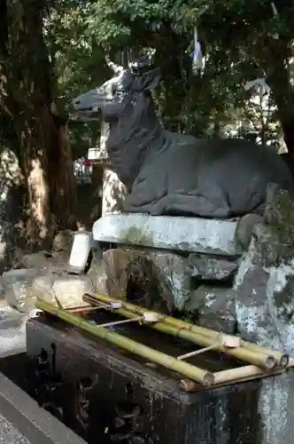 春日大社の手水