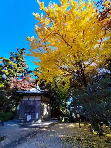 太龍寺(徳島県)