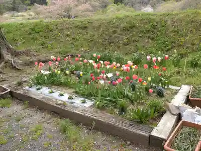高司神社〜むすびの神の鎮まる社〜(福島県)