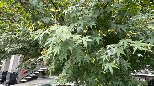 傑山寺(宮城県)