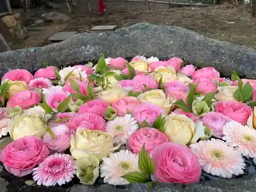 発寒神社(北海道)