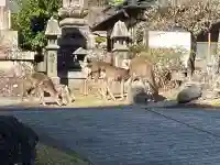 久遠寺の{uncategorized: "未分類", other: "その他", undefined: "問題あり", building: "その他建物", grave: "お墓", sacred_gate: "鳥居", guardian: "狛犬", statue: "像", buddha: "仏像", history: "歴史", nature: "自然", garden: "庭園", animal: "動物", pagoda: "塔", temizu: "手水舎", mountain_gate: "山門・神門", sanctuary: "本殿・本堂", subordinate: "末社・摂社", art: "芸術", scenery: "景色", jizo: "地蔵", ema: "絵馬", goshuin: "御朱印", omikuji: "おみくじ", items: "授与品その他", amulet: "お守り", goshuincho: "御朱印帳", eats: "食事", festival: "お祭り", votive_dance: "神楽", shichigosan: "七五三参", wedding: "結婚式", experience: "体験その他", initially: "初詣", around: "周辺", anti_infection: "感染症対策"}