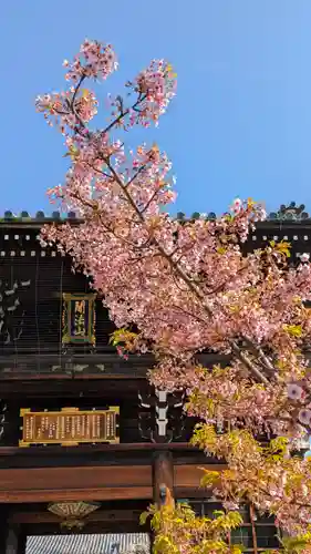 頂妙寺(京都府)