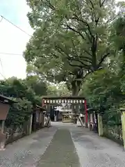 立田阿蘇三宮神社(熊本県)