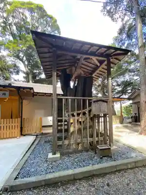 泉神社(茨城県)