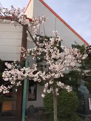 荒井神社(兵庫県)
