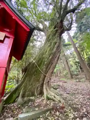 佐伎治神社の自然