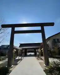 千葉縣護國神社の鳥居