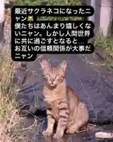 専念寺(大阪府)