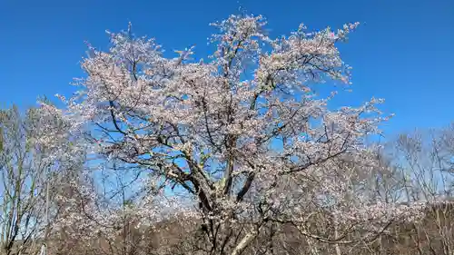 釧路神社の自然