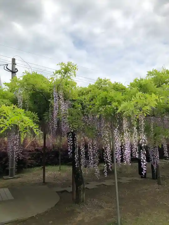和気神社の自然