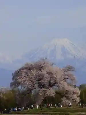 実相寺(山梨県)
