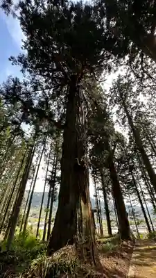 円光寺(山形県)