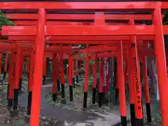 東伏見稲荷神社の鳥居