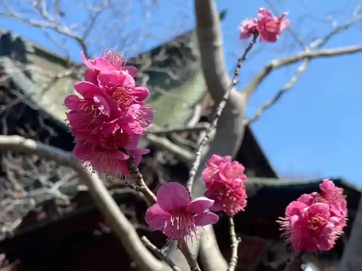 北野神社の{uncategorized: "未分類", other: "その他", undefined: "問題あり", building: "その他建物", grave: "お墓", sacred_gate: "鳥居", guardian: "狛犬", statue: "像", buddha: "仏像", history: "歴史", nature: "自然", garden: "庭園", animal: "動物", pagoda: "塔", temizu: "手水舎", mountain_gate: "山門・神門", sanctuary: "本殿・本堂", subordinate: "末社・摂社", art: "芸術", scenery: "景色", jizo: "地蔵", ema: "絵馬", goshuin: "御朱印", omikuji: "おみくじ", items: "授与品その他", amulet: "お守り", goshuincho: "御朱印帳", eats: "食事", festival: "お祭り", votive_dance: "神楽", shichigosan: "七五三参", wedding: "結婚式", experience: "体験その他", initially: "初詣", around: "周辺", anti_infection: "感染症対策"}