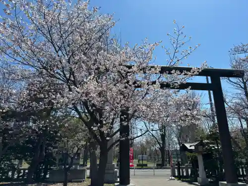 烈々布神社の{uncategorized: "未分類", other: "その他", undefined: "問題あり", building: "その他建物", grave: "お墓", sacred_gate: "鳥居", guardian: "狛犬", statue: "像", buddha: "仏像", history: "歴史", nature: "自然", garden: "庭園", animal: "動物", pagoda: "塔", temizu: "手水舎", mountain_gate: "山門・神門", sanctuary: "本殿・本堂", subordinate: "末社・摂社", art: "芸術", scenery: "景色", jizo: "地蔵", ema: "絵馬", goshuin: "御朱印", omikuji: "おみくじ", items: "授与品その他", amulet: "お守り", goshuincho: "御朱印帳", eats: "食事", festival: "お祭り", votive_dance: "神楽", shichigosan: "七五三参", wedding: "結婚式", experience: "体験その他", initially: "初詣", around: "周辺", anti_infection: "感染症対策"}