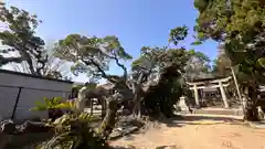 石清水鳥飼八幡別宮(兵庫県)