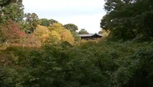 東福禅寺（東福寺）の景色