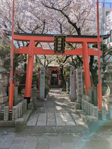 西出鎮守稲荷神社の{uncategorized: "未分類", other: "その他", undefined: "問題あり", building: "その他建物", grave: "お墓", sacred_gate: "鳥居", guardian: "狛犬", statue: "像", buddha: "仏像", history: "歴史", nature: "自然", garden: "庭園", animal: "動物", pagoda: "塔", temizu: "手水舎", mountain_gate: "山門・神門", sanctuary: "本殿・本堂", subordinate: "末社・摂社", art: "芸術", scenery: "景色", jizo: "地蔵", ema: "絵馬", goshuin: "御朱印", omikuji: "おみくじ", items: "授与品その他", amulet: "お守り", goshuincho: "御朱印帳", eats: "食事", festival: "お祭り", votive_dance: "神楽", shichigosan: "七五三参", wedding: "結婚式", experience: "体験その他", initially: "初詣", around: "周辺", anti_infection: "感染症対策"}