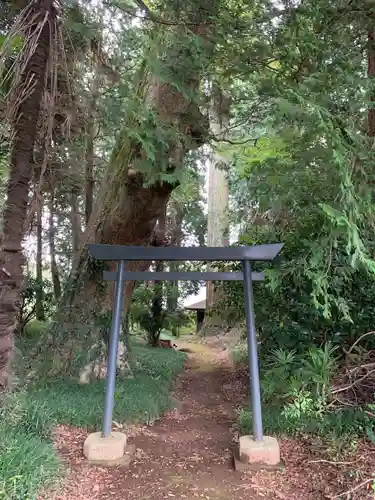 神社（名称不明）の鳥居