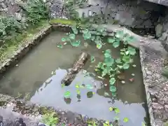 石馬寺の建物その他