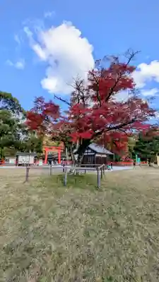 賀茂別雷神社（上賀茂神社）(京都府)