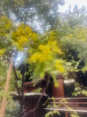 蔵前神社(東京都)