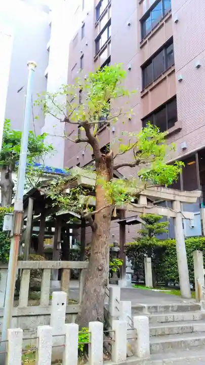 大直禰子神社のその他建物