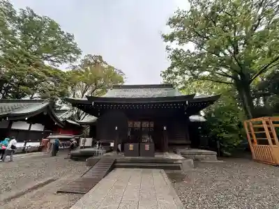 川越氷川神社(埼玉県)