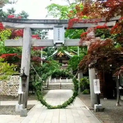 彌彦神社　(伊夜日子神社)の鳥居