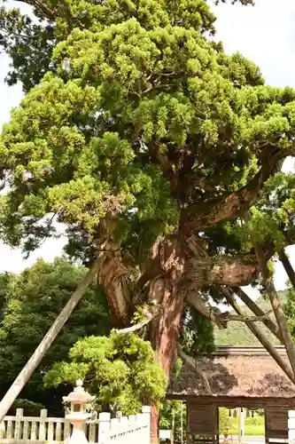 玉若酢命神社(島根県)