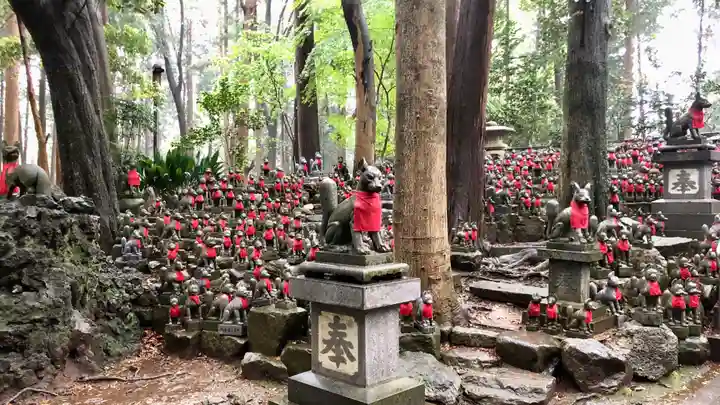 豊川閣 妙厳寺の狛犬