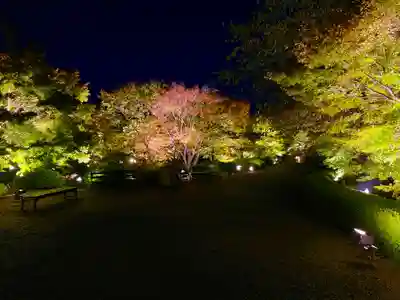 東寺（教王護国寺）(京都府)