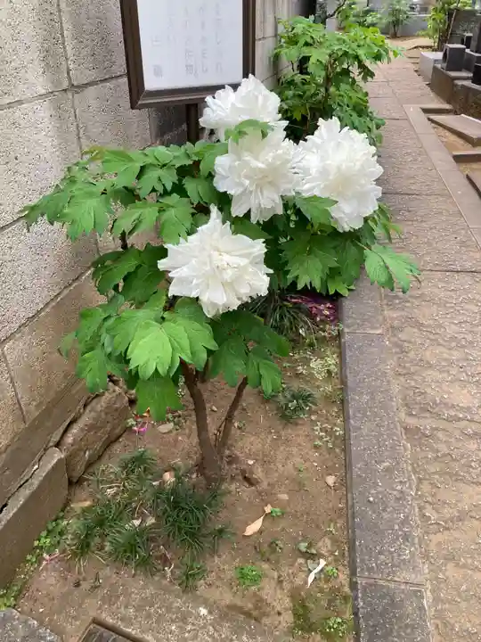 聖輪寺(東京都)