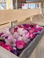 鳩森八幡神社(東京都)