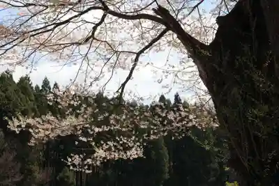 十一面観音堂の自然